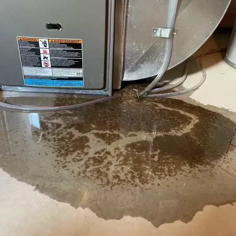 Appliance Leak Cleanup in Alorton, IL